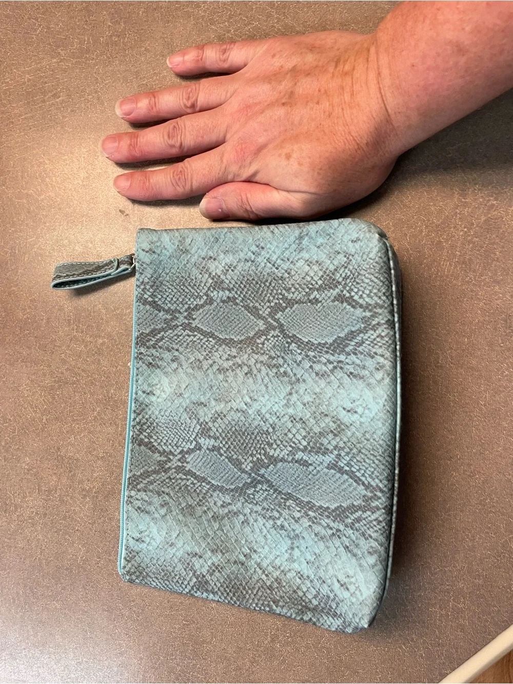 Snake-Print Cosmetic Pouch - Teal